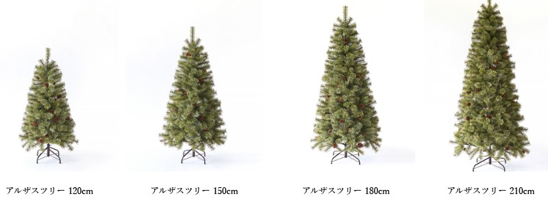 Alsace(R)���� �N���X�}�X�c���[ 180cm �L�x�Ȏ}�����T�C�g